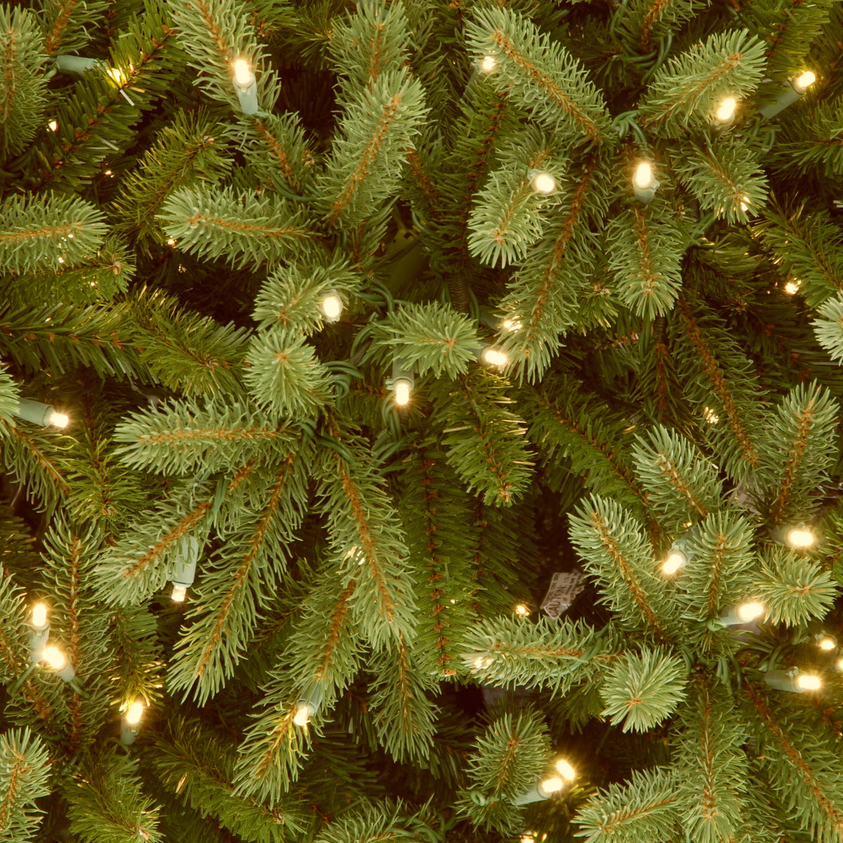 National Tree Company 9 ft. Pre-Lit Jersey Fraser Fir Full Artificial Christmas Tree, 1,500 Clear Lights, 4,804 Tips, Includes Stand, Green