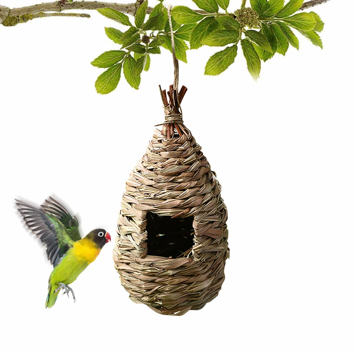 SLYNSHome Hummingbird Baths for outdoors Flowers Shaped Bird Bath Garden Decoration Hummingbird Feeders With Metal Stake for Yard Patio Outside (Hot Pink)