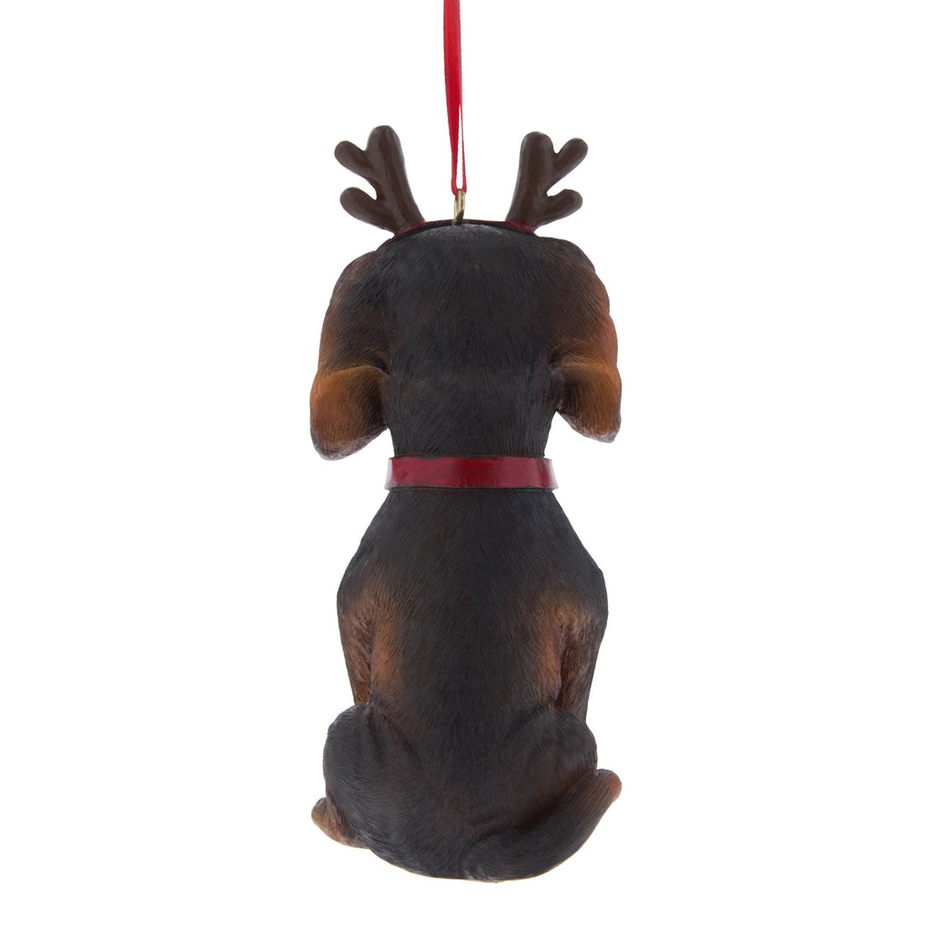 Brown Dachshund with Antlers Christmas Ornament, 5", by Holiday Time
