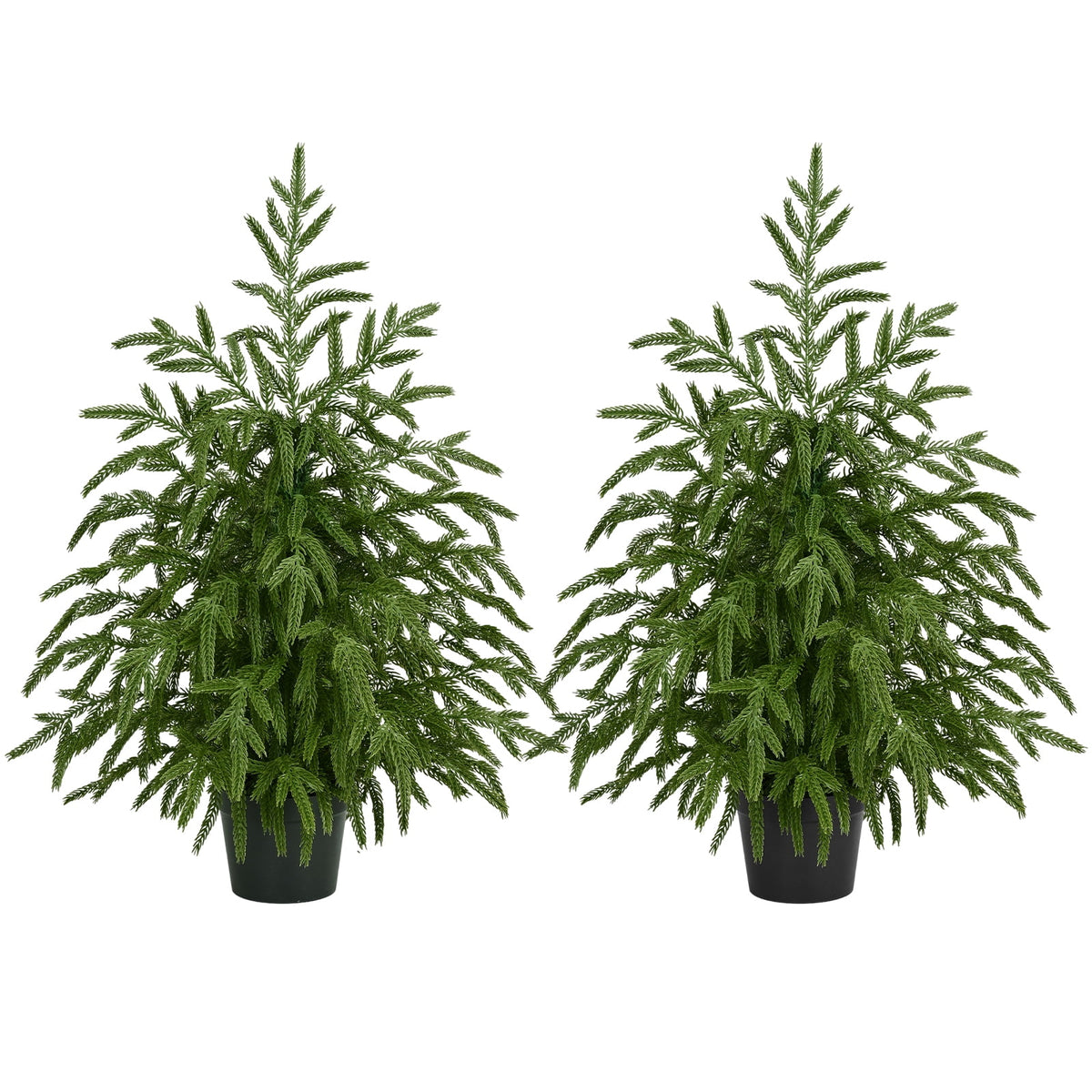 Yastouay 2FT Tabletop Christmas Tree Artificial Norfolk Pine Pre-Lit Xmas Tree with Lights for Front Porch Indoor Outdoor Christmas Decor