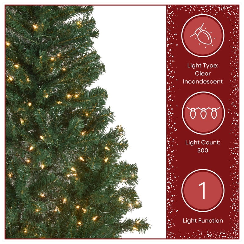 National Tree Company 6 ft. Acacia Hinged Tree with 300 Clear Lights-UL, 599 Tips