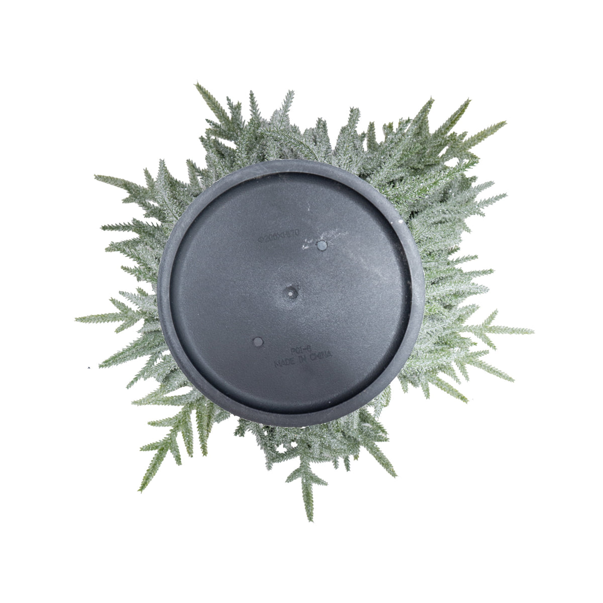 My Texas House Snow-Flocked Evergreen Christmas Arrangement in Pot, Green/White/Black, 24"