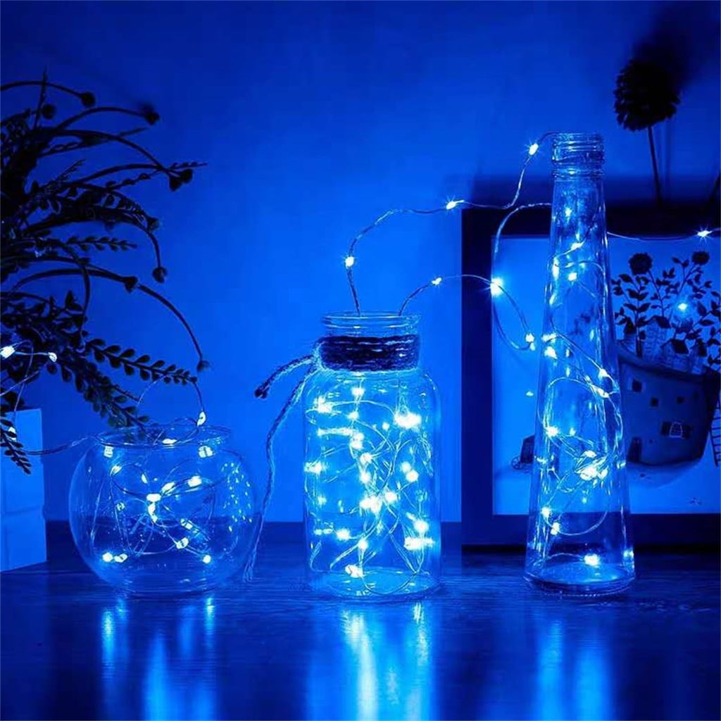 2 Pack Battery Operated Mini String Light,Indoor Led Fairy Light with Timer 6 Hours on/18 Hours Off for Craft Clear Vase Decoration,30 Count LED,10 Feet Silver Wire (Red)