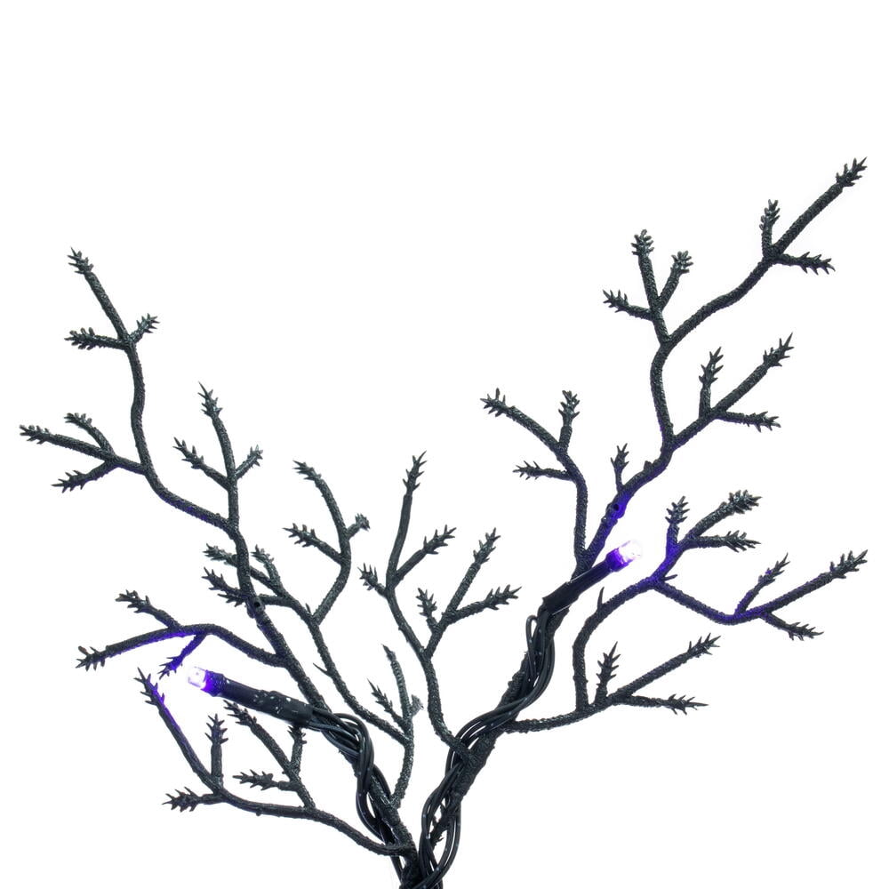 7 x 38" Black Cedar Spooky Tree 170Lt