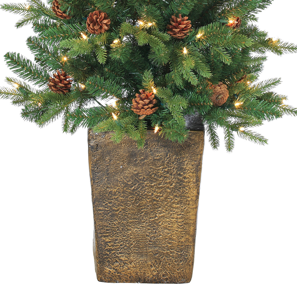 Sterling Charming 4 Foot Potted Natural Cut Georgia Pine