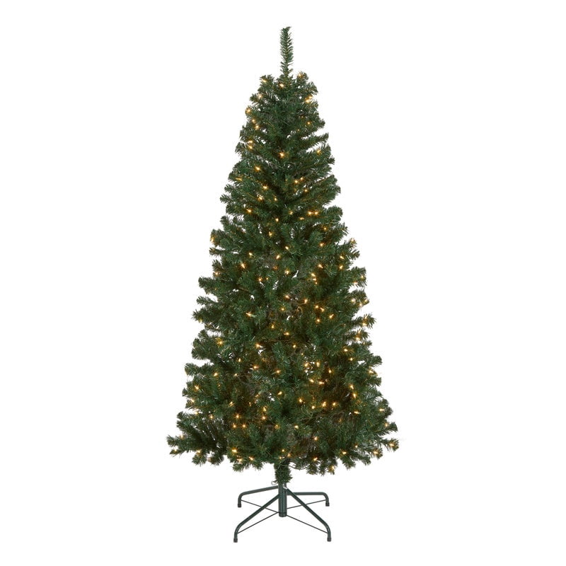 National Tree Company 6 ft. Acacia Hinged Tree with 300 Clear Lights-UL, 599 Tips