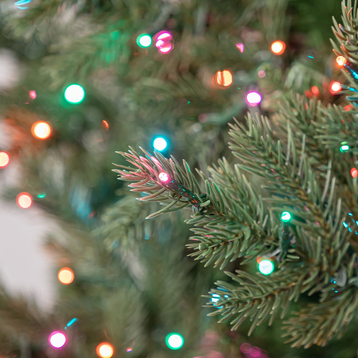 My Texas House 9' Pre-Lit Grand Spruce Green Artificial Christmas Tree with LumaDazzle Color-Changing Twinkle LED Lights, Quick Set, and Stand