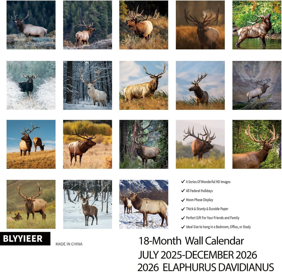 2026 Wall Calendar,Wolf Calendar 2025-2026,Wolf Monthly Wall Calendar, 12" x 24" Open,Family Planner Calendar with Wolf, Home & Office Organizer,Hangable