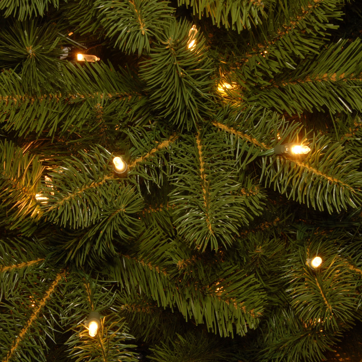 National Tree Company Slim Douglas Fir 12' Christmas Tree, Color Lights